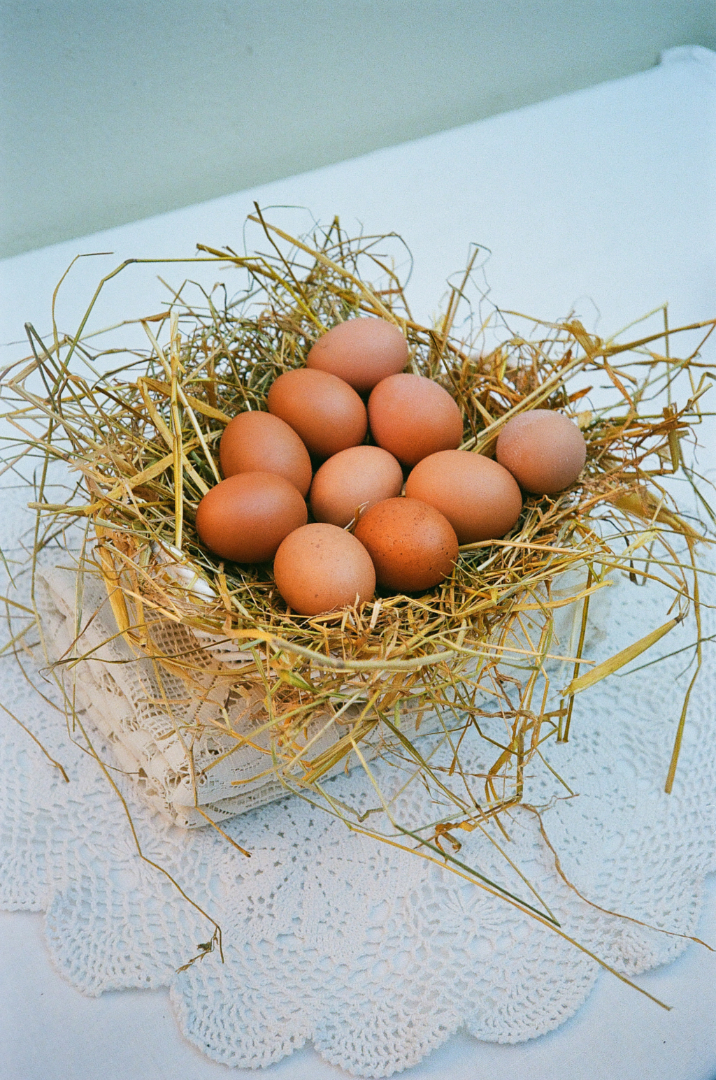 adax_easter-19